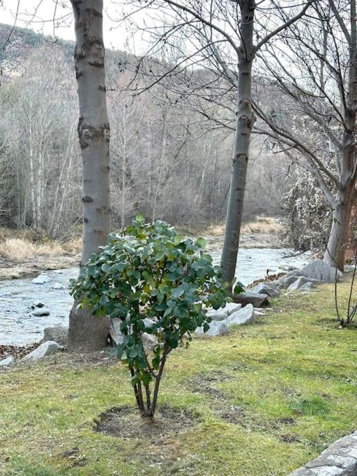 Acogedor Alojamiento En Martinet, Cerdanya, Puigcerda מראה חיצוני תמונה